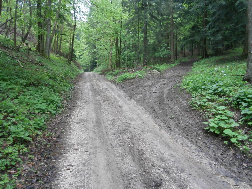 ...desno za Gaveza, dom lovcev Rogaška Slatina se odcepi pot...