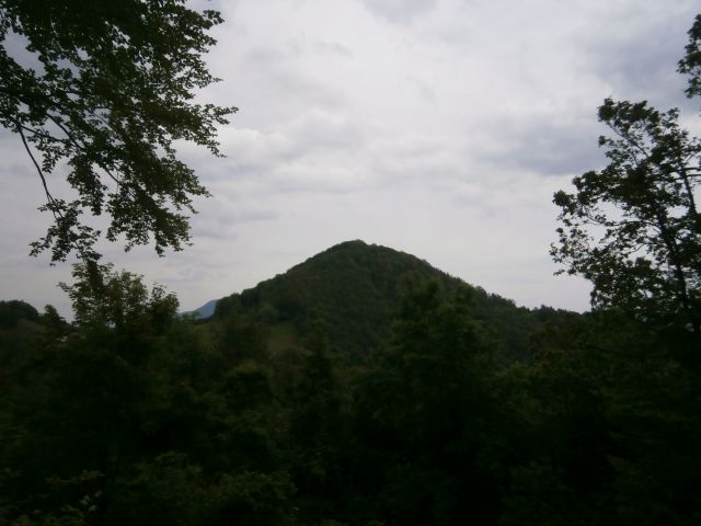 ...še pogled levo od poti na Cerovec...