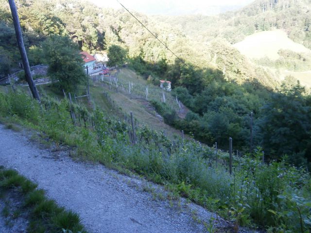 Sv. Mihael & Ljubično,24.05.2014 - foto