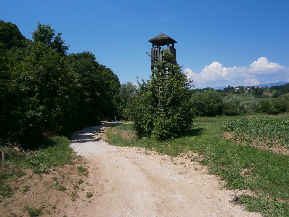 Studenice - foto povečava