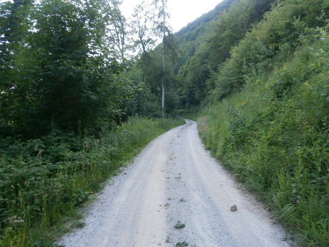 Drenovec na Boču,08.06.2014 - foto