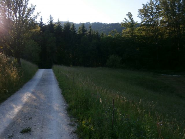 Drenovec na Boču,08.06.2014 - foto