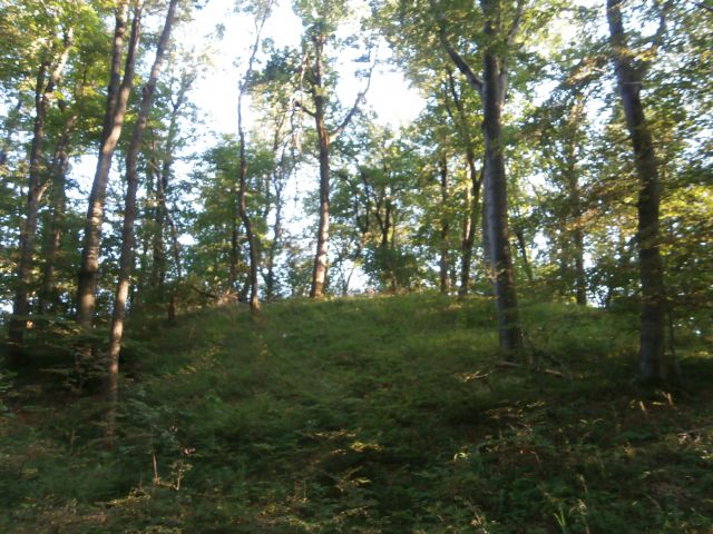 Drenovec na Boču,08.06.2014 - foto