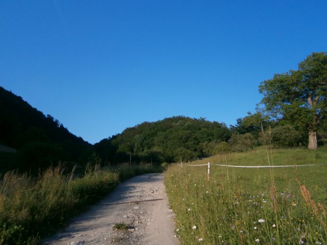 Drenovec na Boču,08.06.2014 - foto