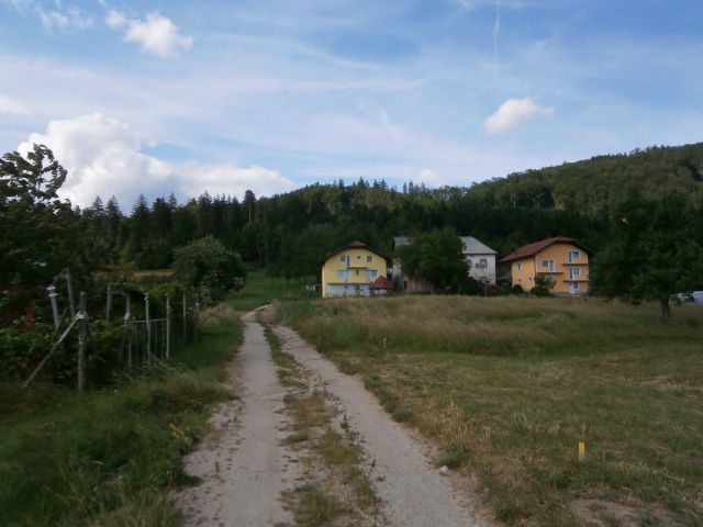 Stolpnik/Konjiška gora,15.06.2014 - foto