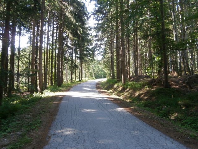 Stolpnik/Konjiška gora,15.06.2014 - foto