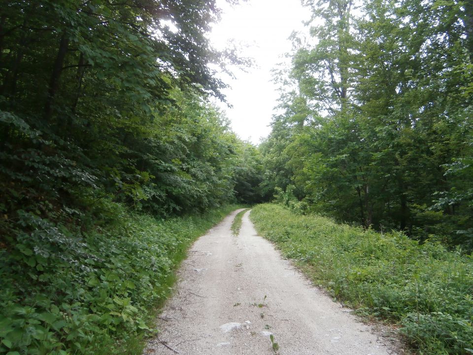 Stolpnik/Konjiška gora,15.06.2014 - foto povečava