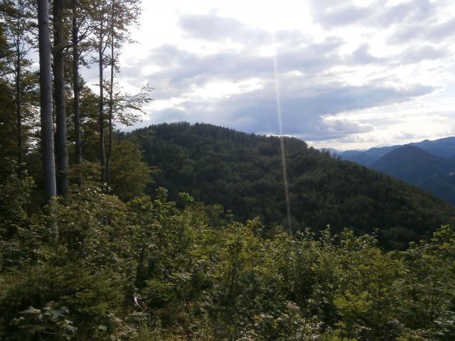 Stolpnik/Konjiška gora,15.06.2014 - foto