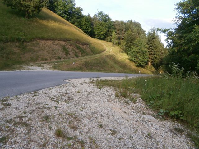 Stolpnik/Konjiška gora,15.06.2014 - foto