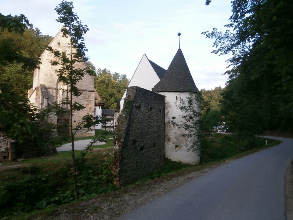 Stolpnik/Konjiška gora,15.06.2014 - foto povečava