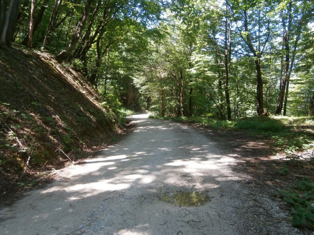 Studenice - Zgornje Poljčane,06.07.2014 - foto