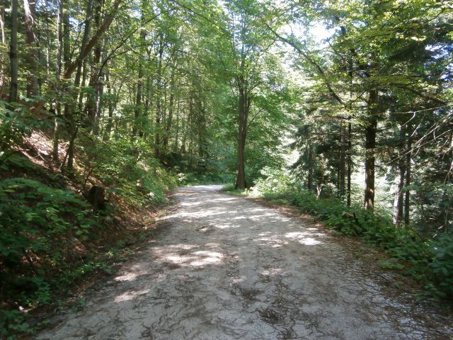 Studenice - Zgornje Poljčane,06.07.2014 - foto