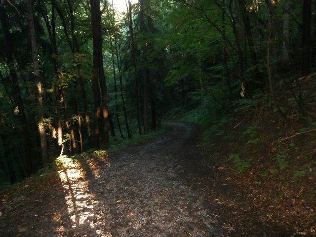 Studenice & okolica,08.07.2014 - foto