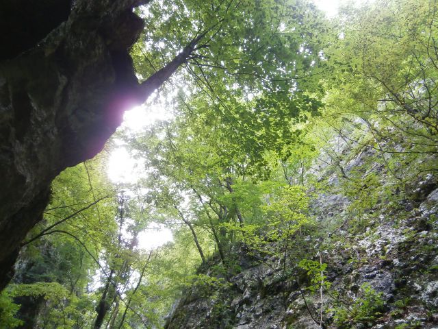 Slap Šošterica in rudnik Šega, 13.07.2014 - foto