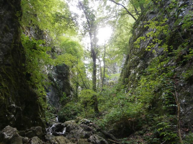 Slap Šošterica in rudnik Šega, 13.07.2014 - foto