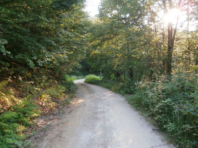 Poljčane - Žička kartuzija,19.07.2014 - foto