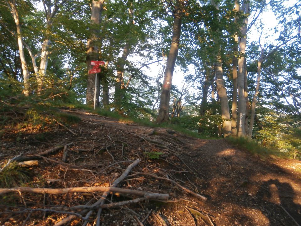 Boč/Galke,23.07.2014 - foto povečava