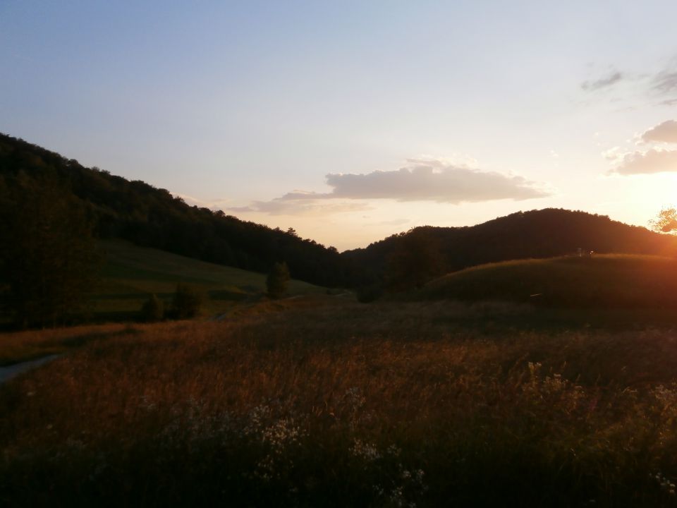 Boč/Galke,23.07.2014 - foto povečava