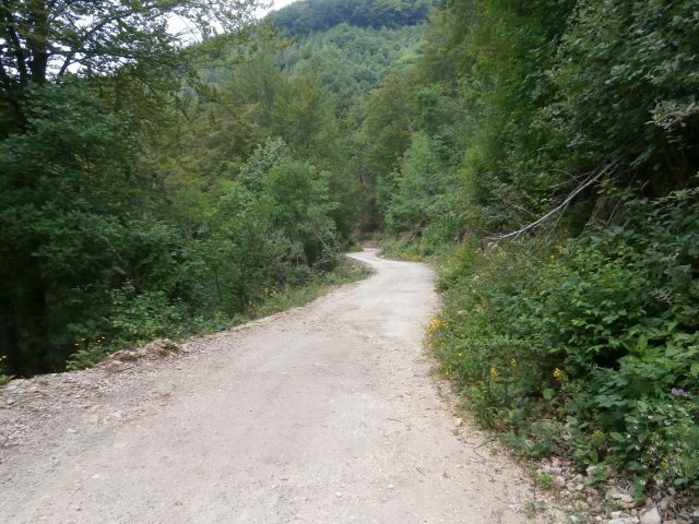 Boč,27.07.2014 - foto