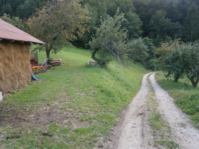 Babček,17.08.2014 - foto