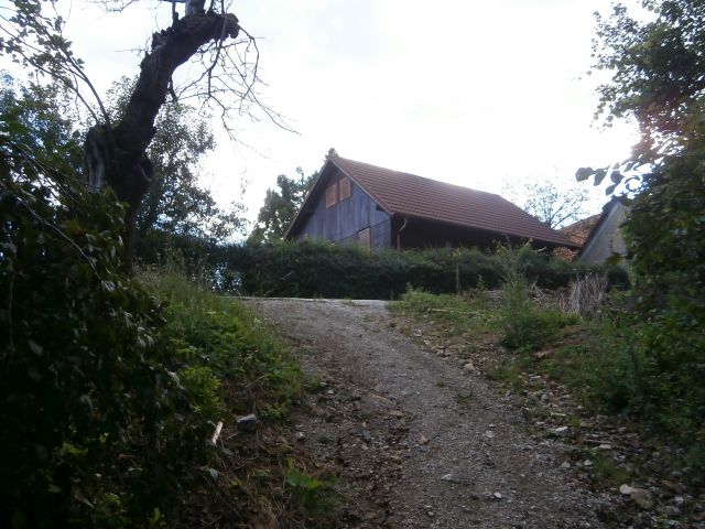 Babček,17.08.2014 - foto