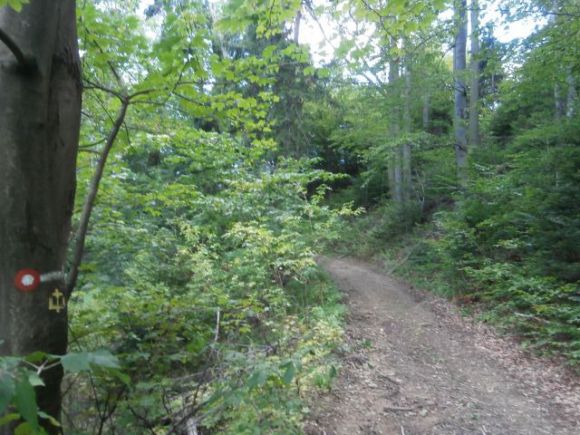 Špitalič - Pletovarje,17.08.2014 - foto