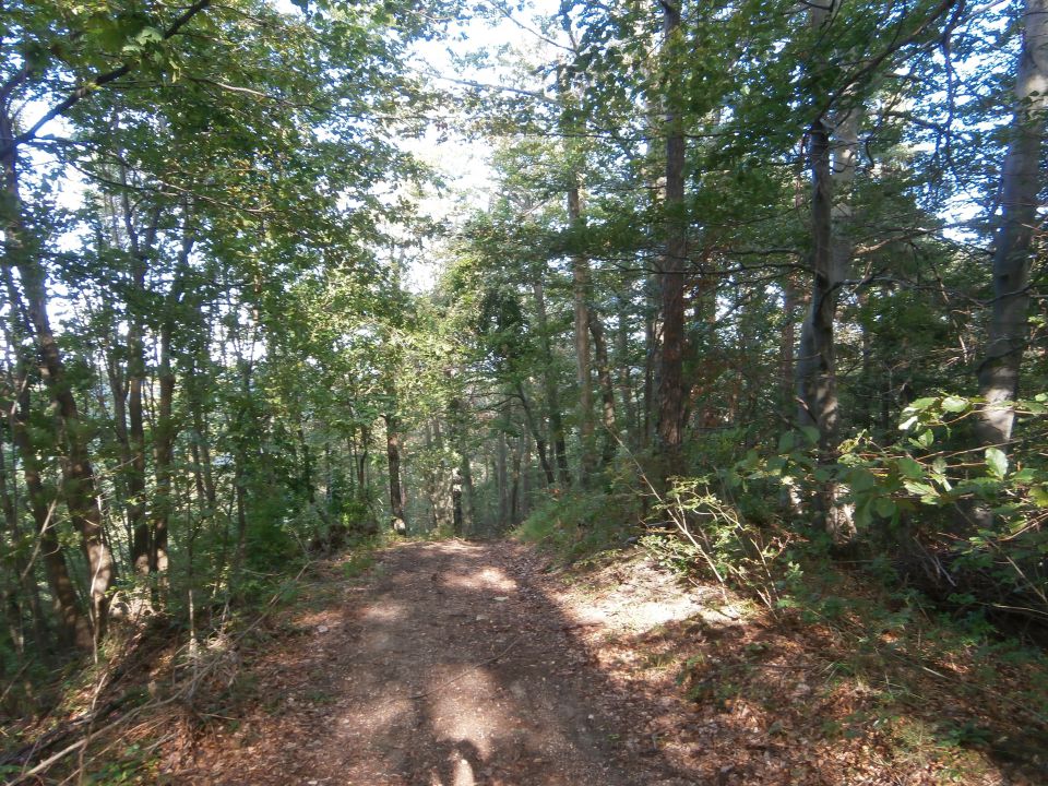 Špitalič - Pletovarje,17.08.2014 - foto povečava