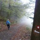 ...po gozdni cesti prehod na planinsko gozdno pot...