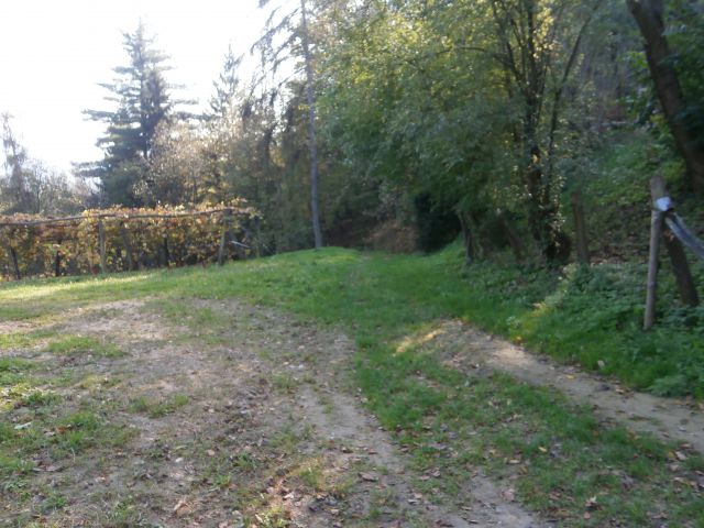 ...in tukaj desno, smerna tabla v pomoč...