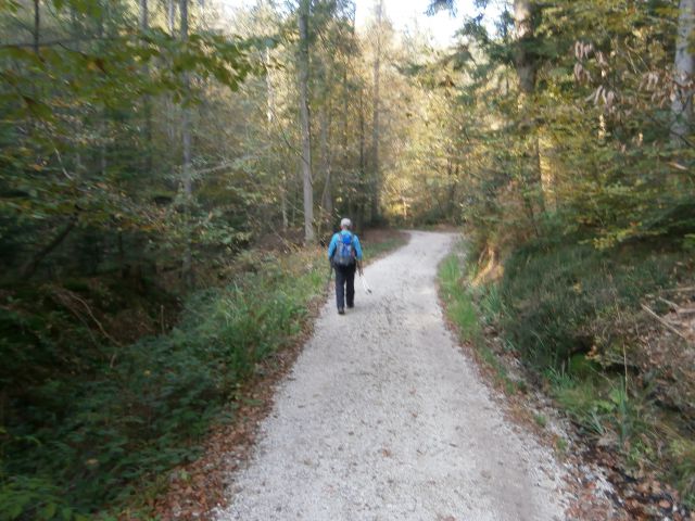 ...dovolj široka in dobro nasuta za promet...
