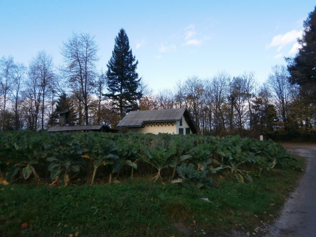 Boč/razgledni stolp iz Lovnika,16.11.2014 - foto