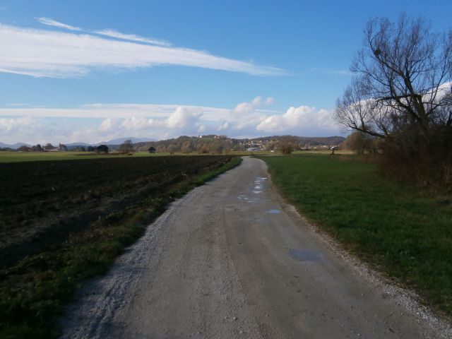 Boč/razgledni stolp iz Lovnika,16.11.2014 - foto