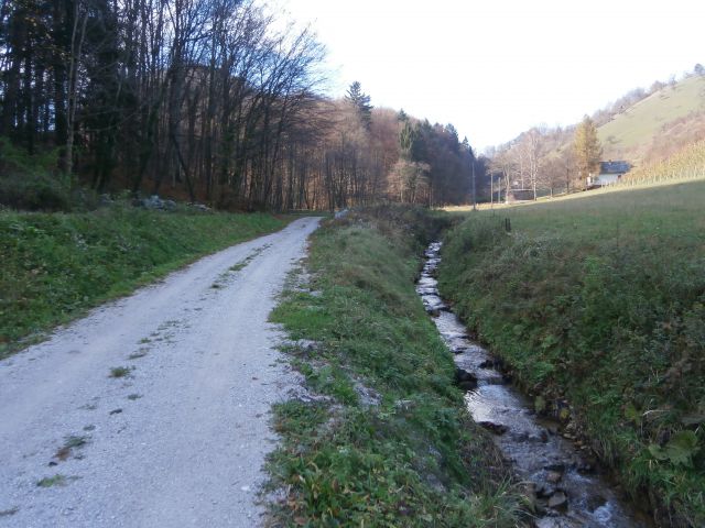 Boč/razgledni stolp iz Lovnika,16.11.2014 - foto