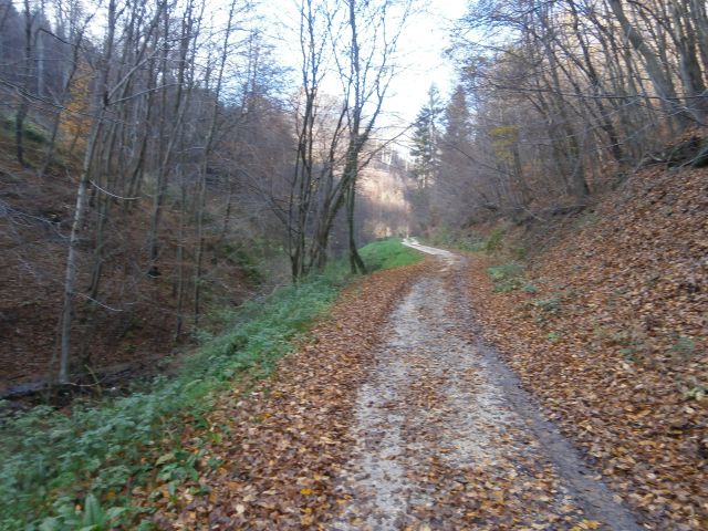 Boč/razgledni stolp iz Lovnika,16.11.2014 - foto