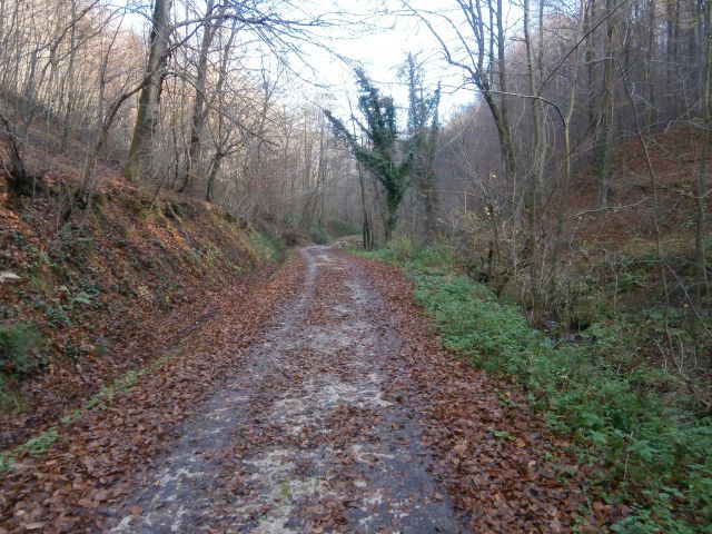 Boč/razgledni stolp iz Lovnika,16.11.2014 - foto