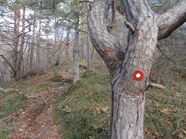 Boč/razgledni stolp iz Lovnika,16.11.2014 - foto