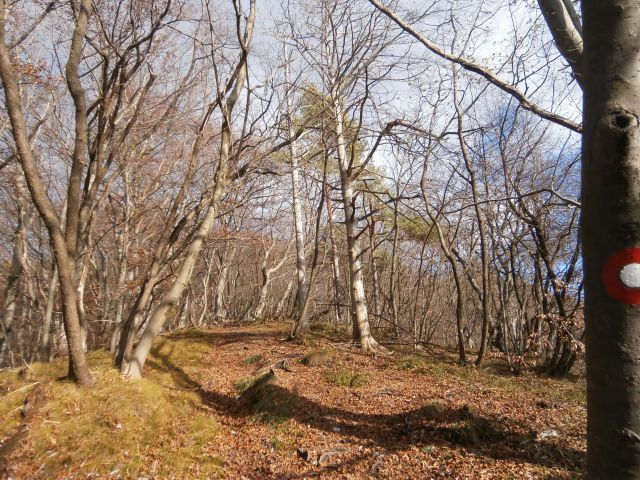 Boč/razgledni stolp iz Lovnika,16.11.2014 - foto