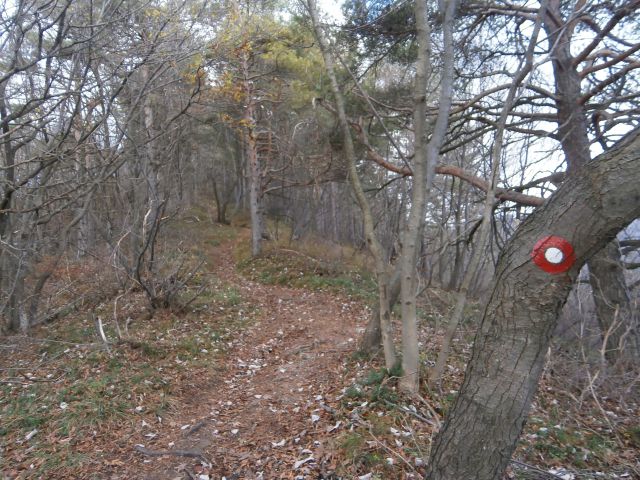 Boč/razgledni stolp iz Lovnika,16.11.2014 - foto