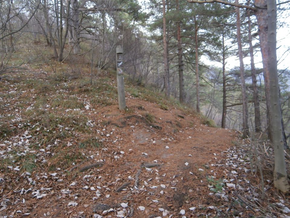 Boč/razgledni stolp iz Lovnika,16.11.2014 - foto povečava