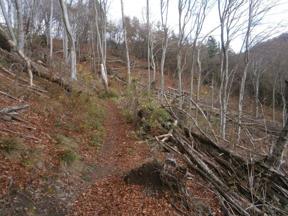 Boč/razgledni stolp iz Lovnika,16.11.2014 - foto povečava