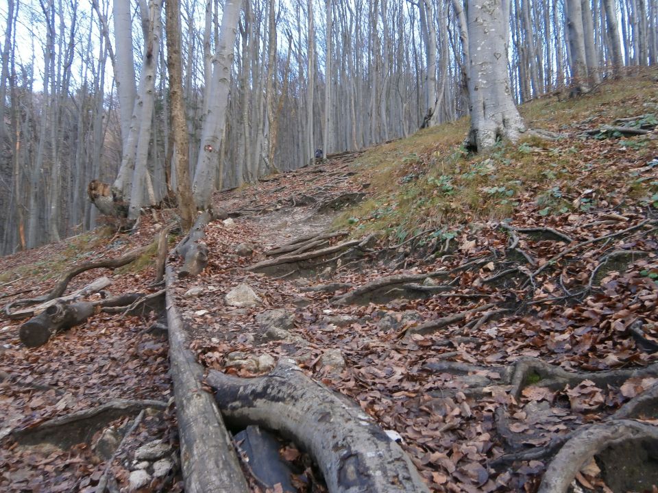 Boč/razgledni stolp iz Lovnika,16.11.2014 - foto povečava