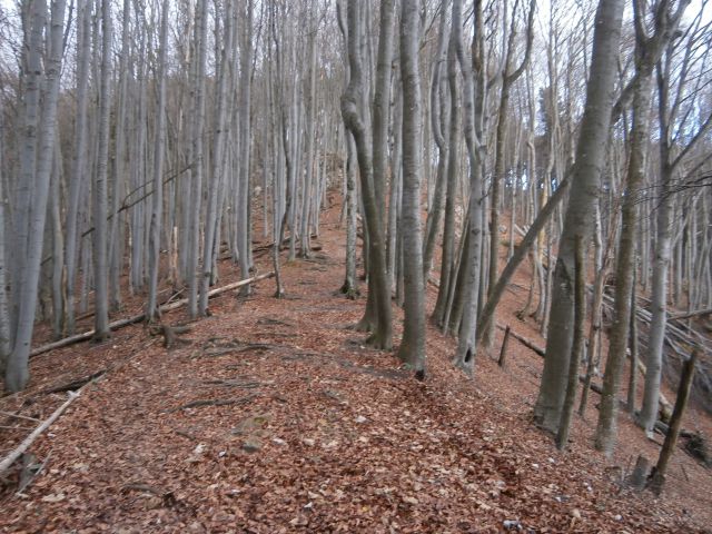 Boč/razgledni stolp iz Lovnika,16.11.2014 - foto