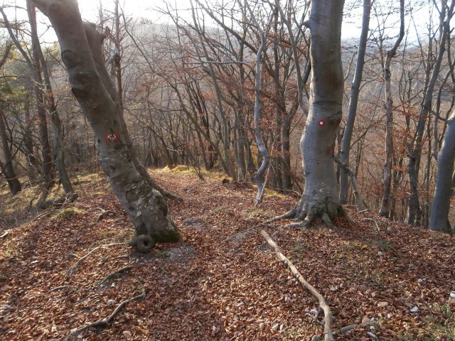 Boč/razgledni stolp iz Lovnika,16.11.2014 - foto