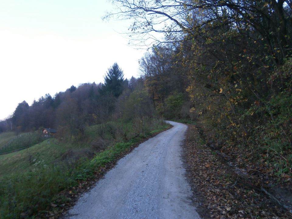 Boč & Plešivec MTB,22.11.2014 - foto povečava