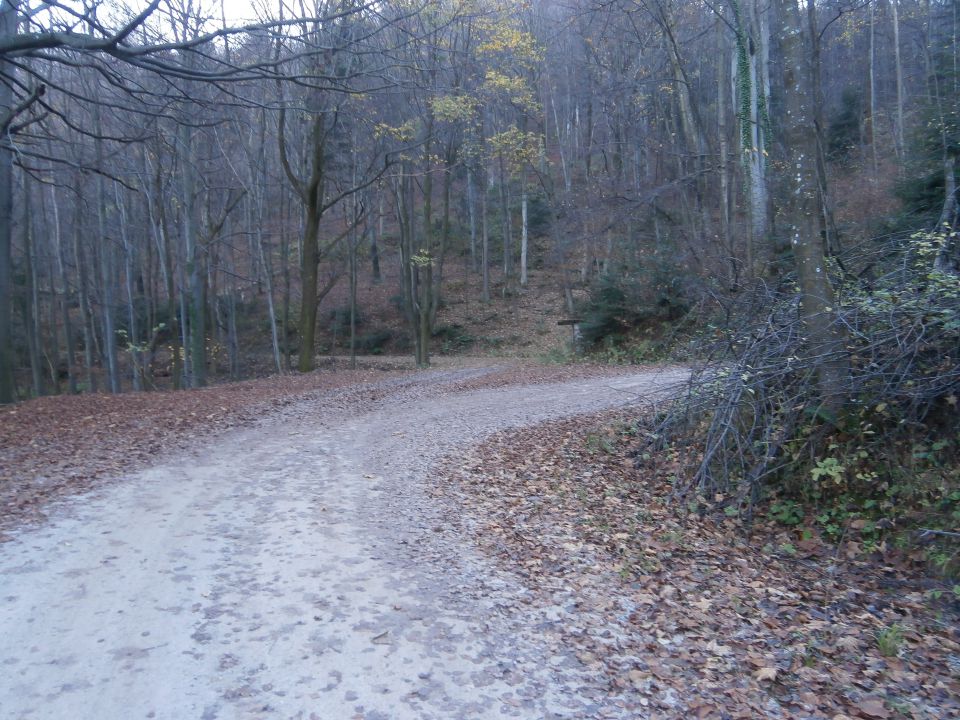 Boč & Plešivec MTB,22.11.2014 - foto povečava