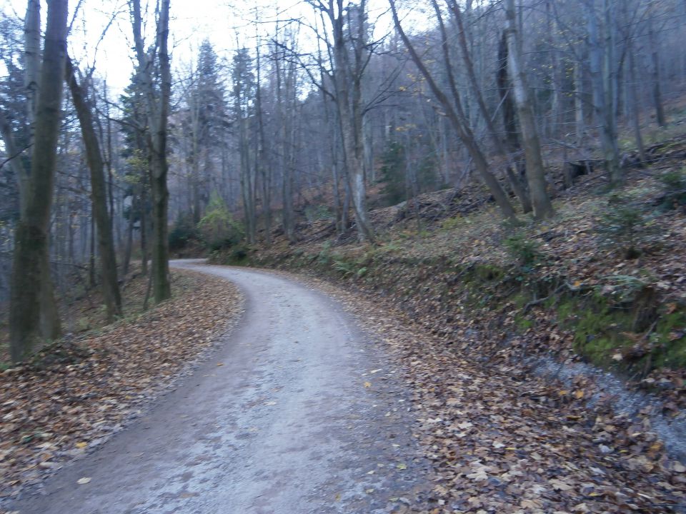 Boč & Plešivec MTB,22.11.2014 - foto povečava