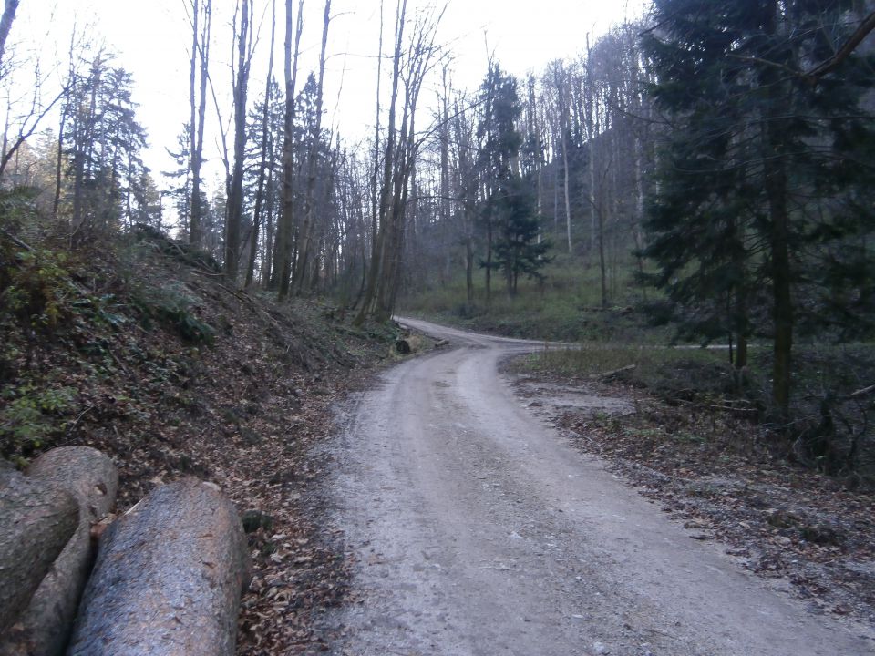 Boč & Plešivec MTB,22.11.2014 - foto povečava