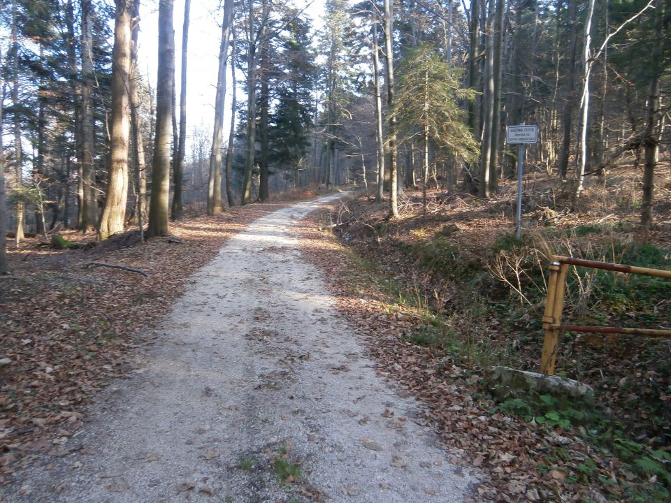 Boč & Plešivec MTB,22.11.2014 - foto povečava