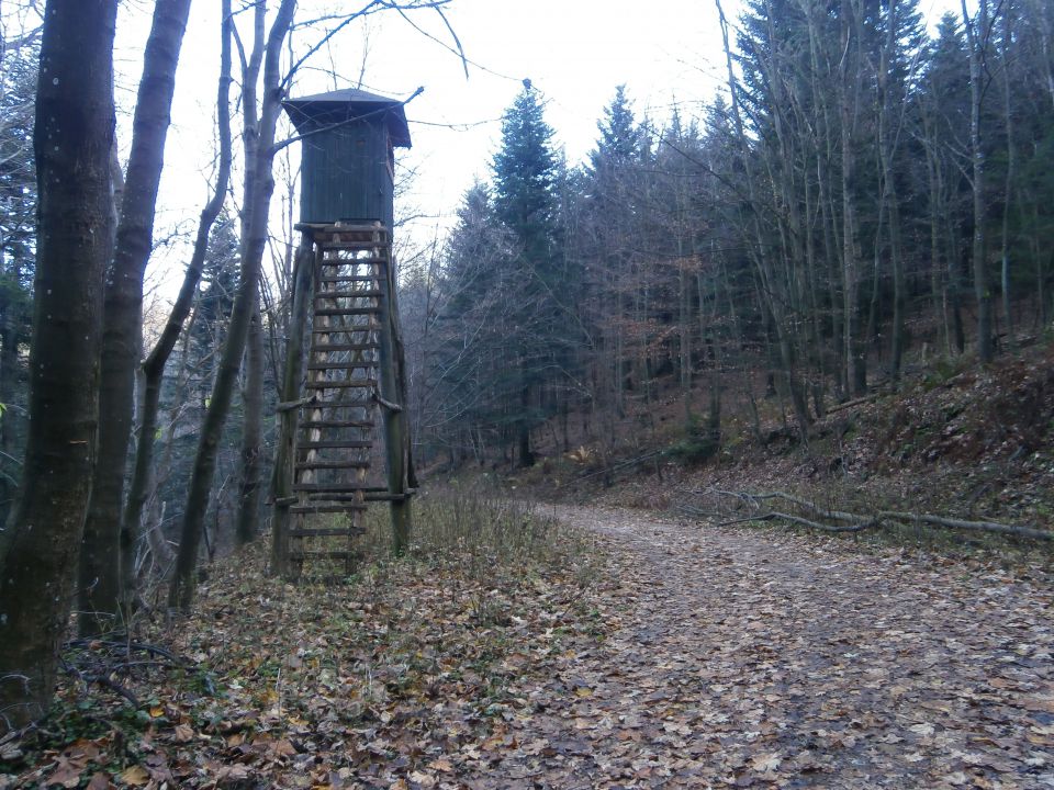 Boč & Plešivec MTB,22.11.2014 - foto povečava