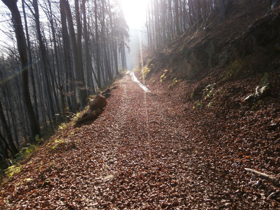 Boč & Plešivec MTB,22.11.2014 - foto povečava